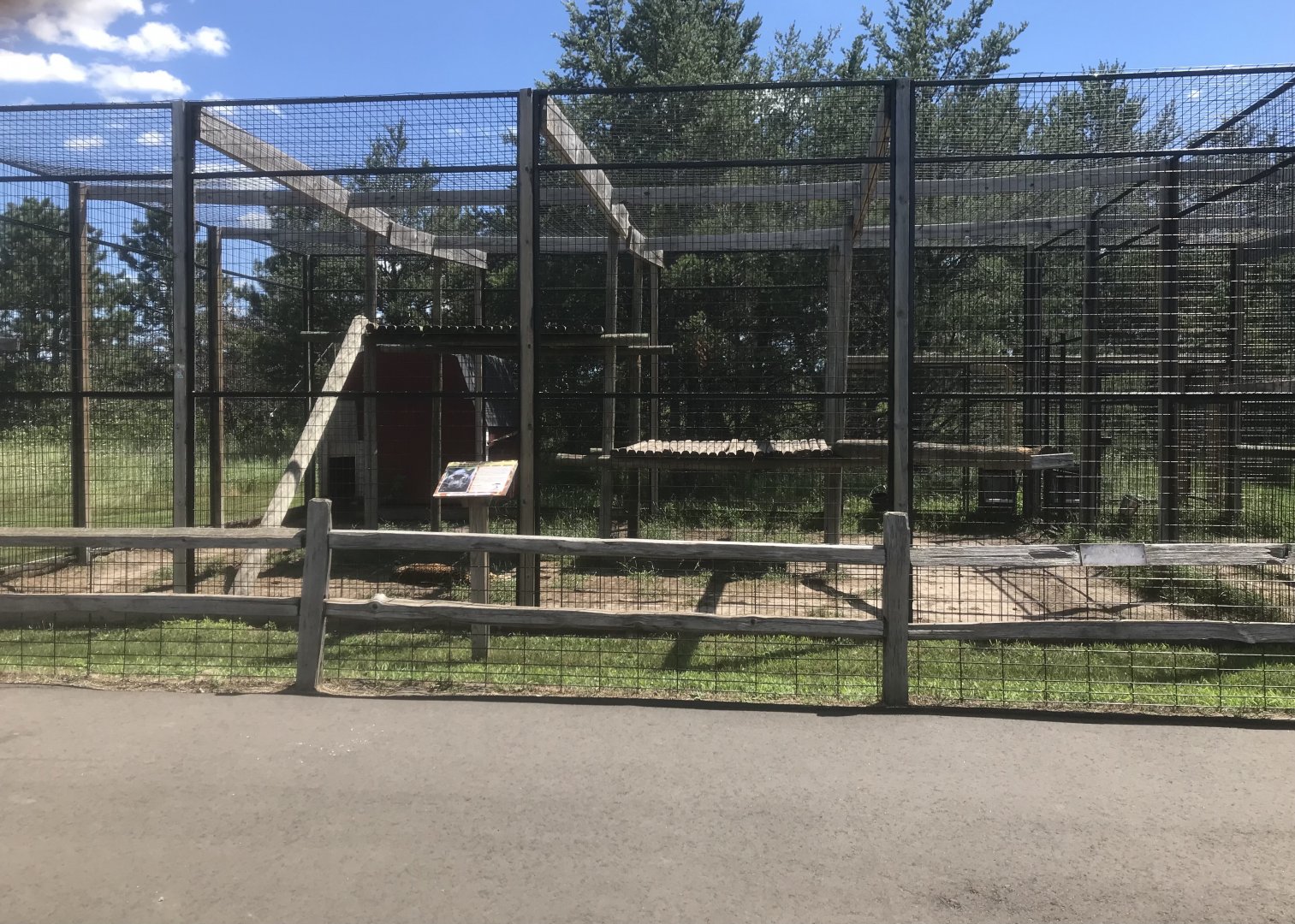 “Asia” - Leopard Exhibit