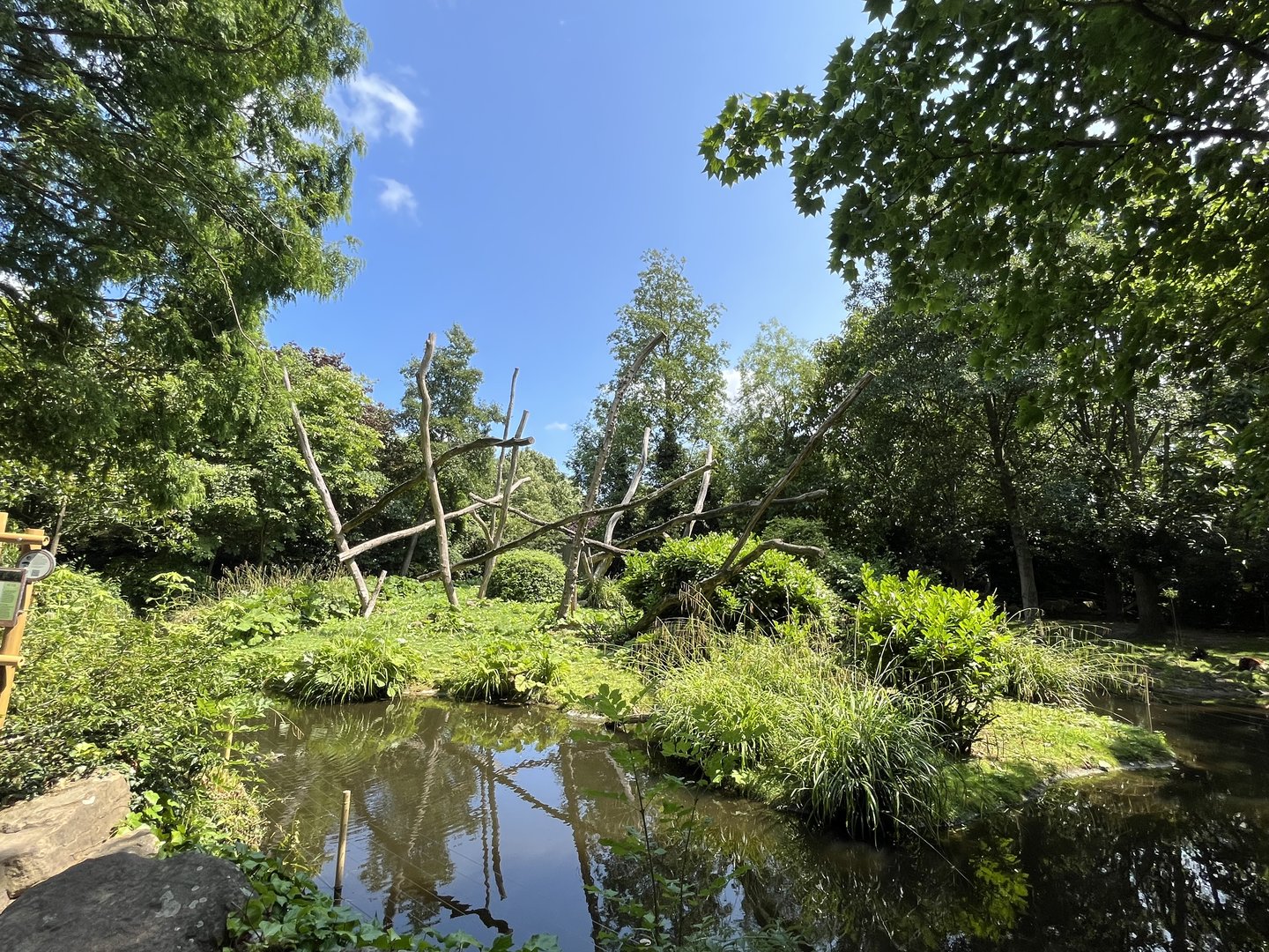 Asia- Lion-tailed macaque enclosure 13.7.23