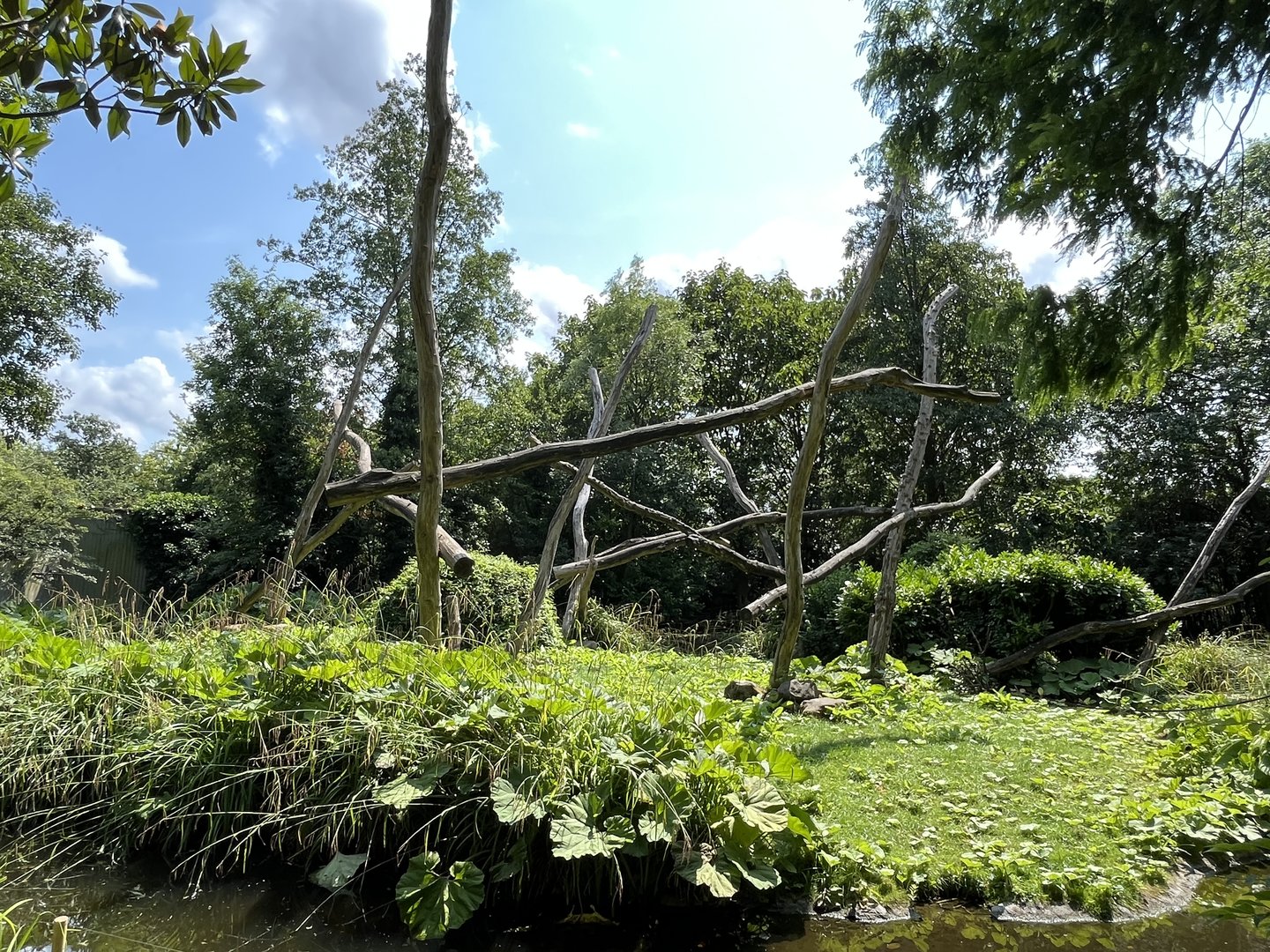 Asia- Lion tailed macaque enclosure 13.7.23