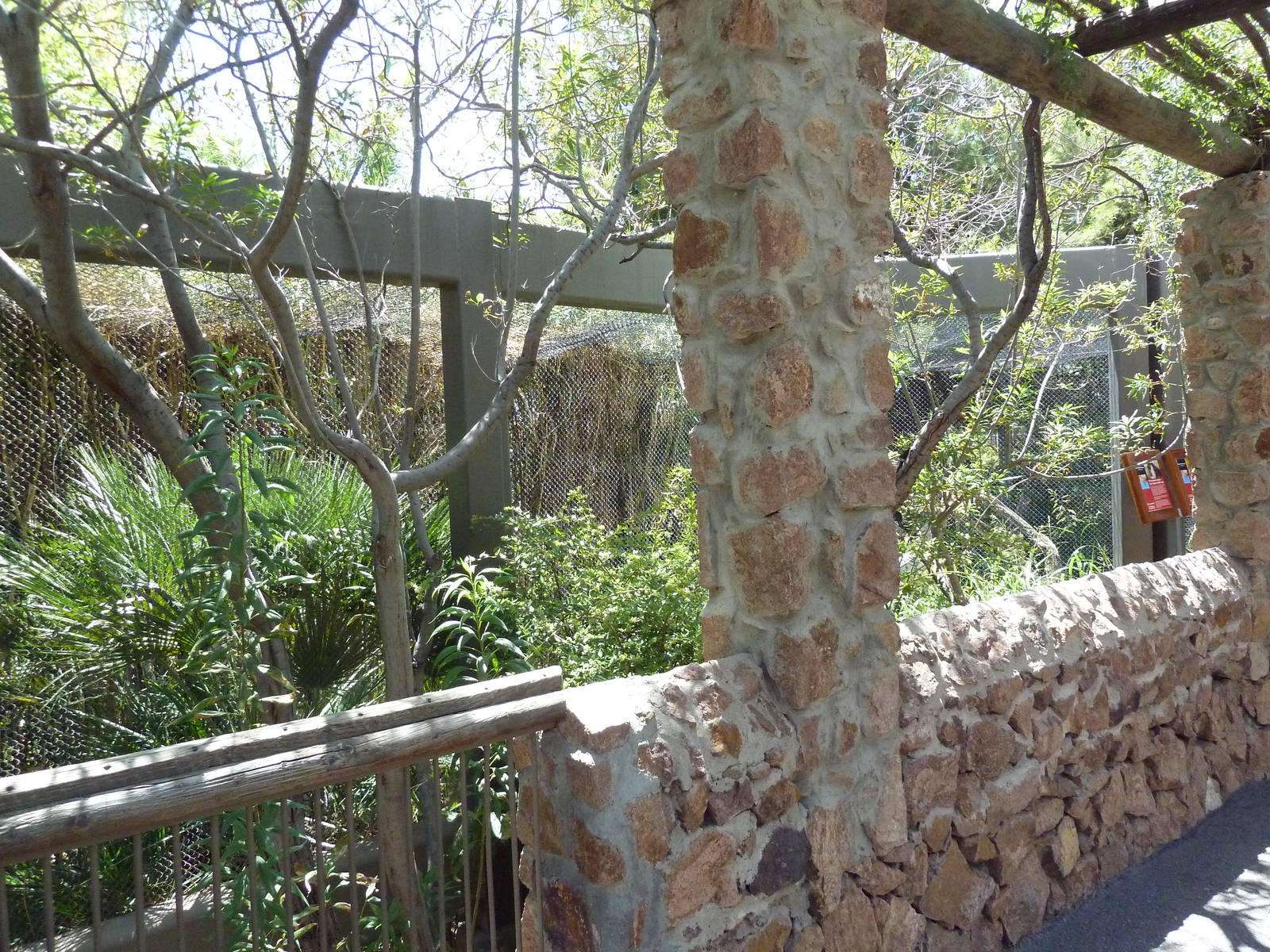 Asia - Lion-Tailed Macaque Exhibit