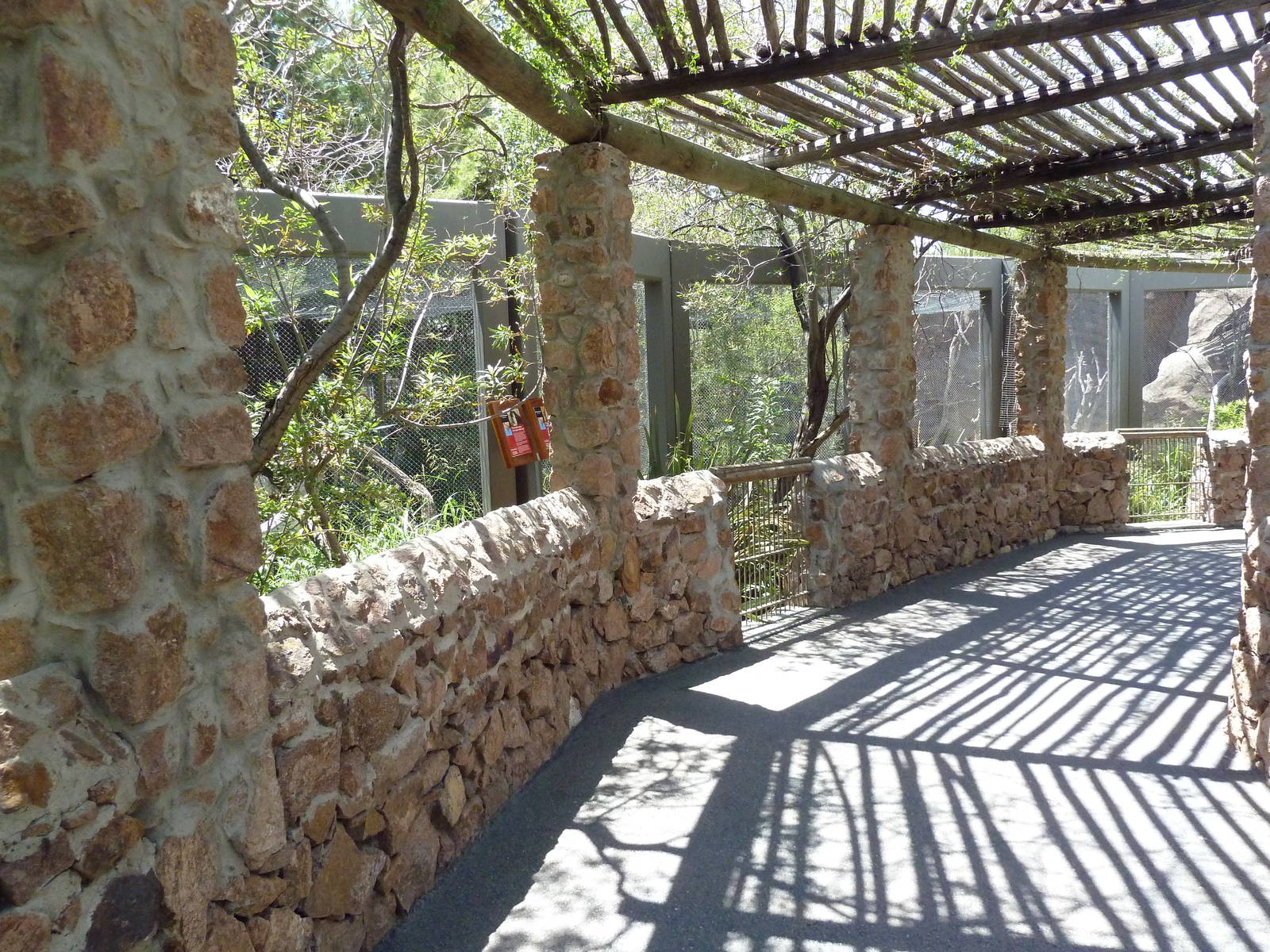 Asia - Lion-Tailed Macaque Exhibit