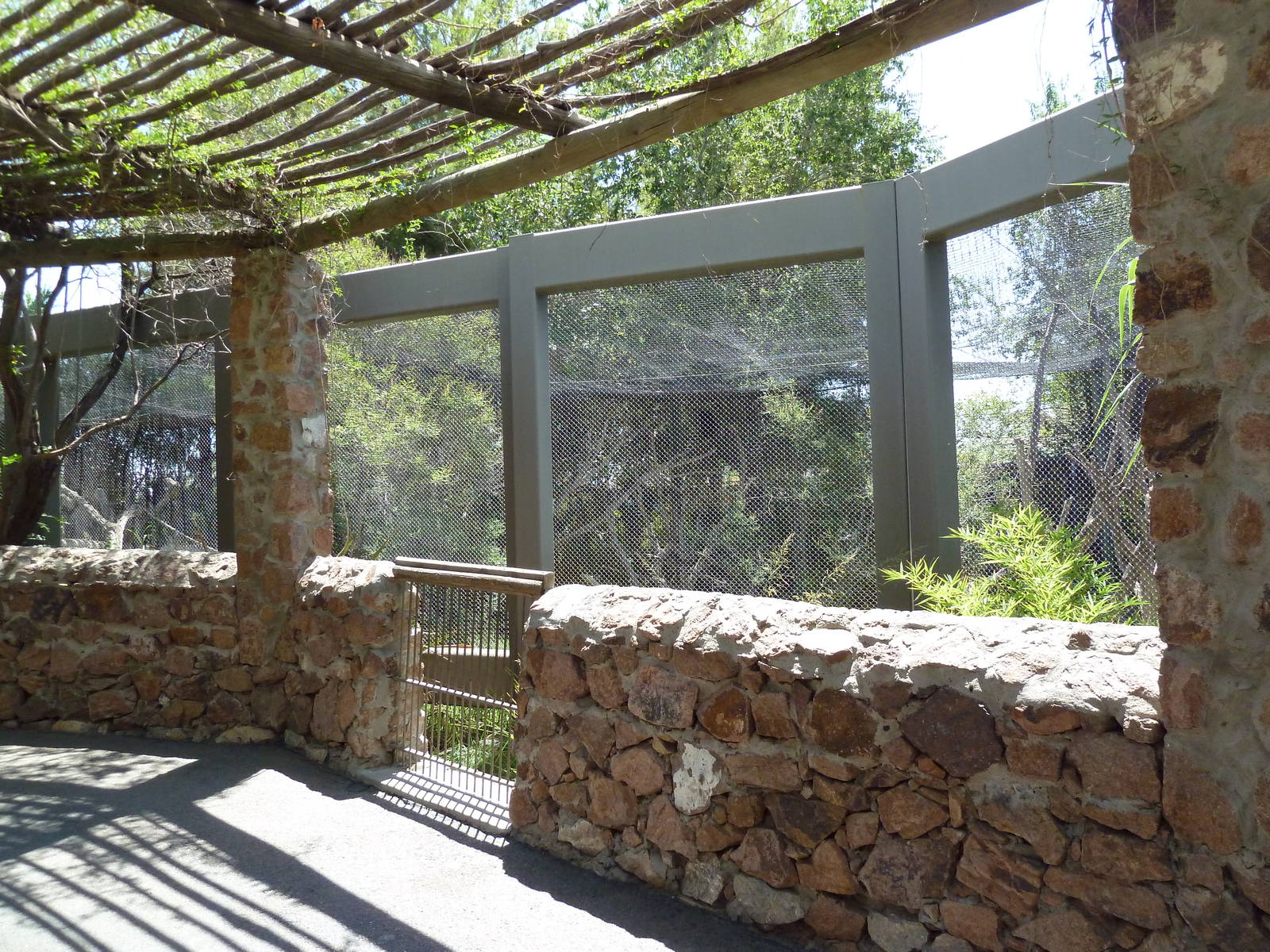 Asia - Lion-Tailed Macaque Exhibit