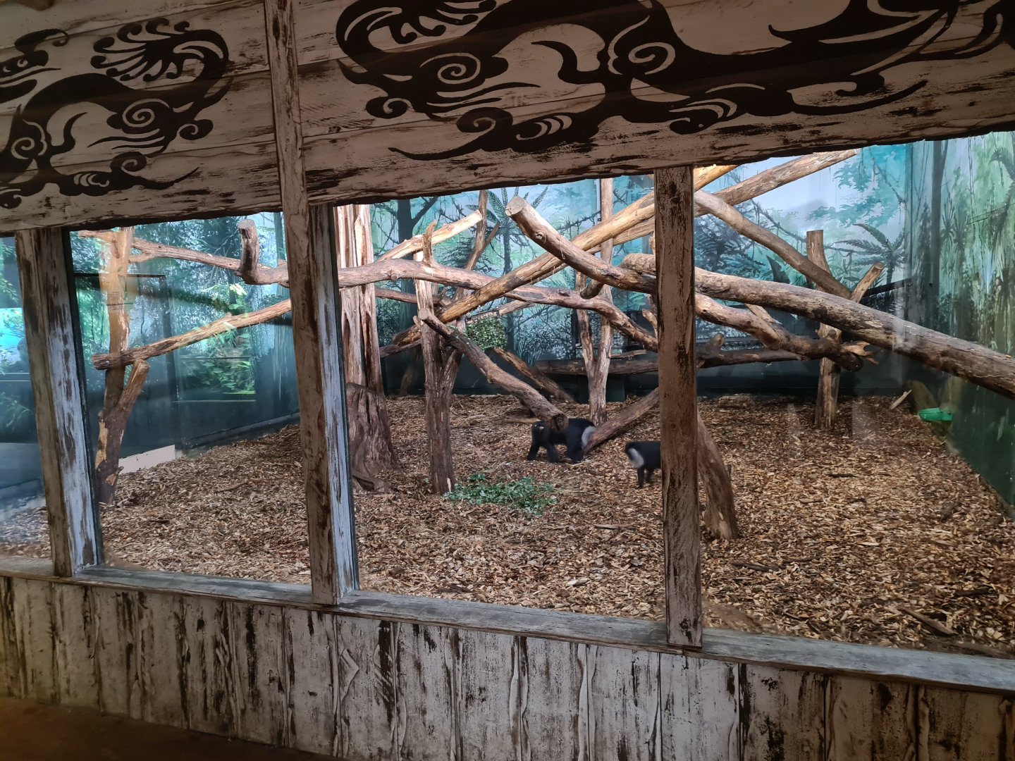 Asia - Lion-tailed macaque indoor holding in Rumah Asia