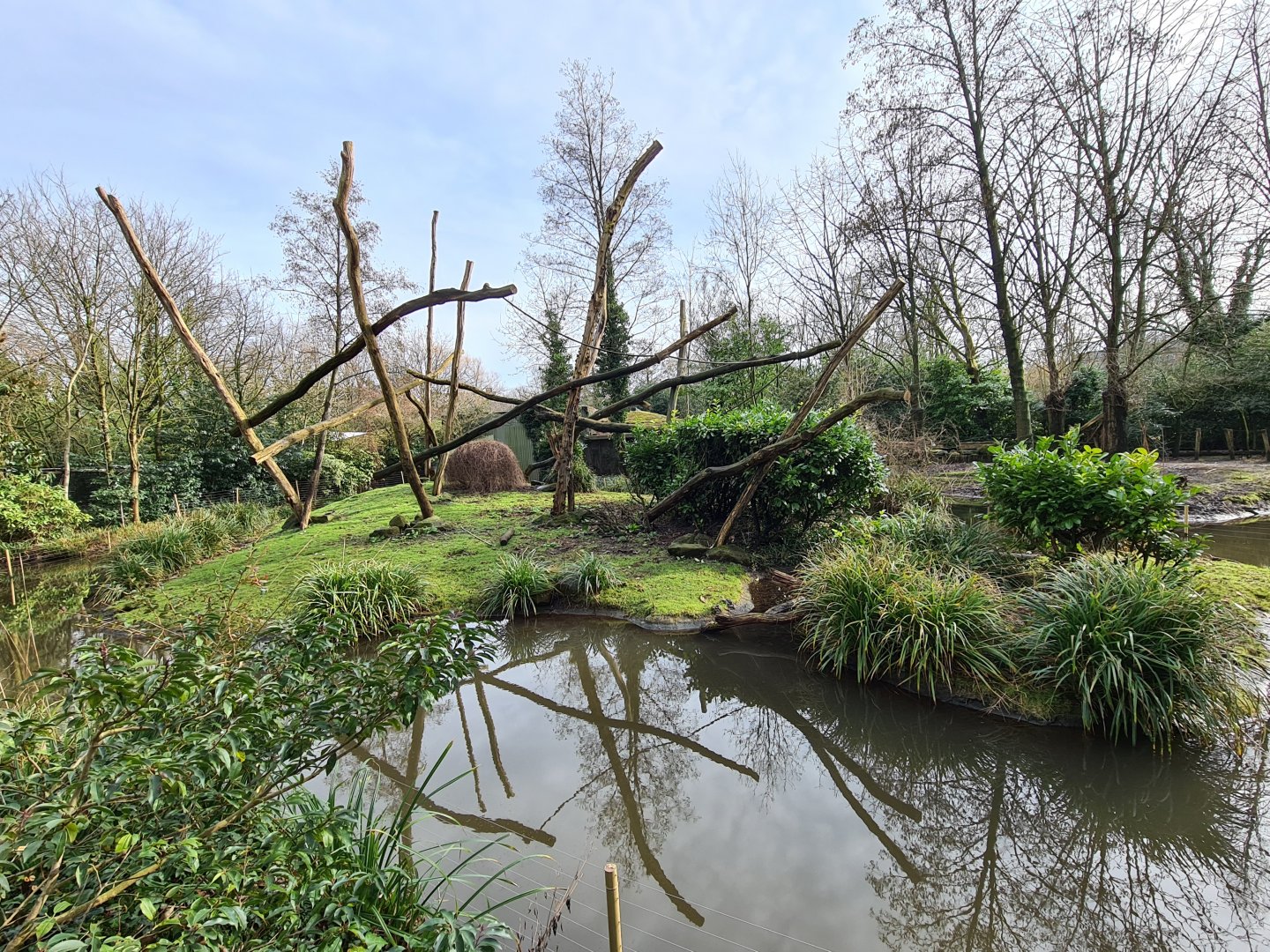 Asia - Lion-tailed macaque island