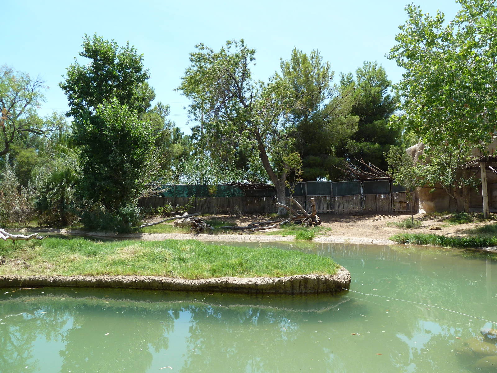 Asia - Malayan Tapir Exhibit + Siamang Island