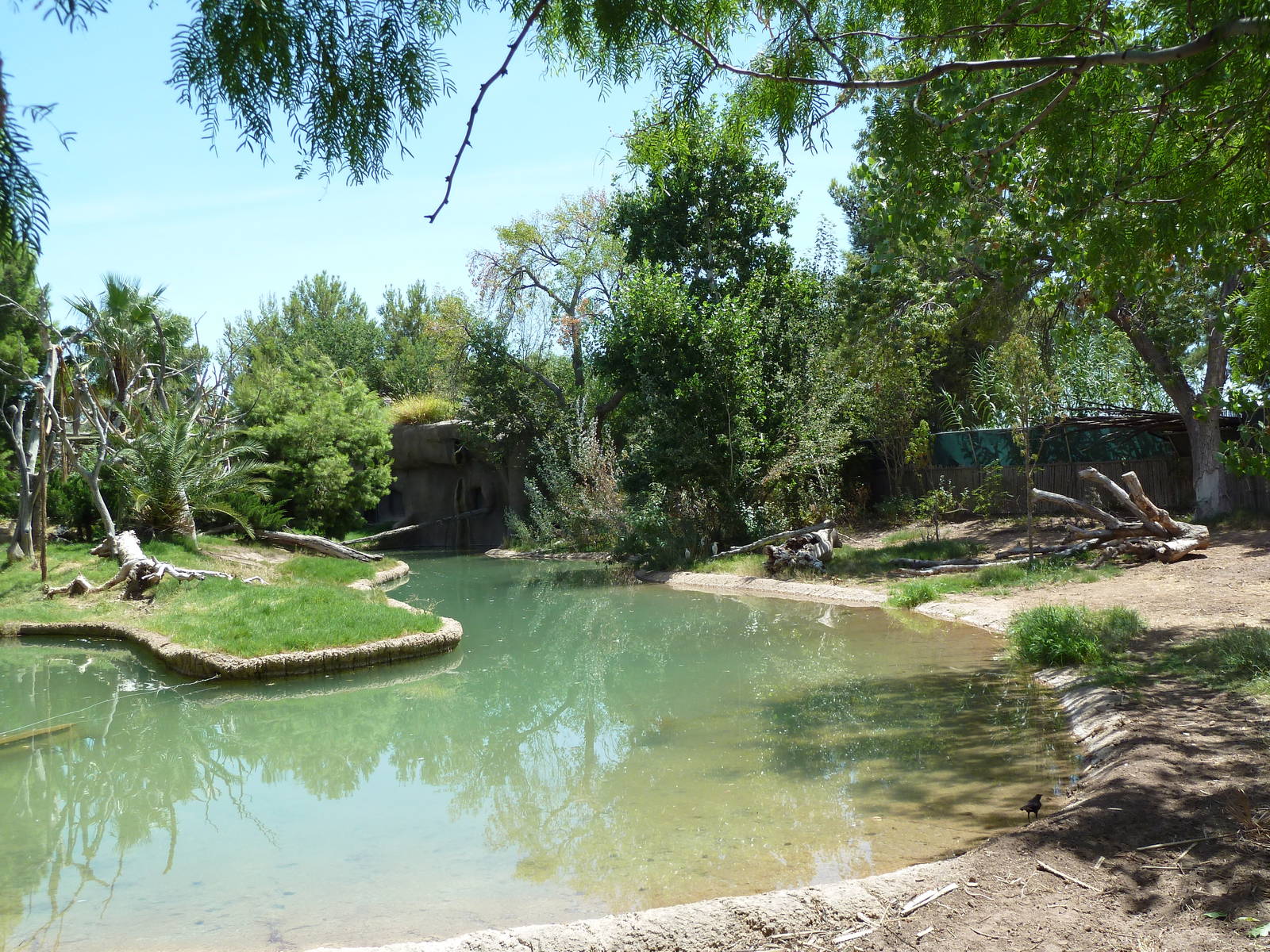 Asia - Malayan Tapir Exhibit + Siamang Island