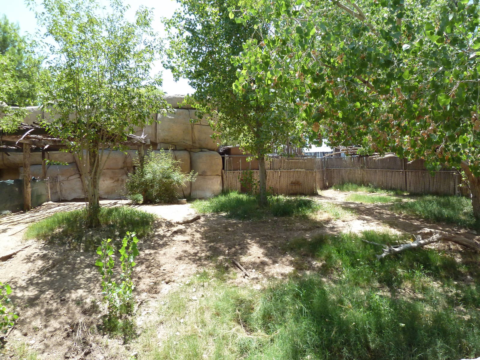 Asia - Malayan Tapir Exhibit
