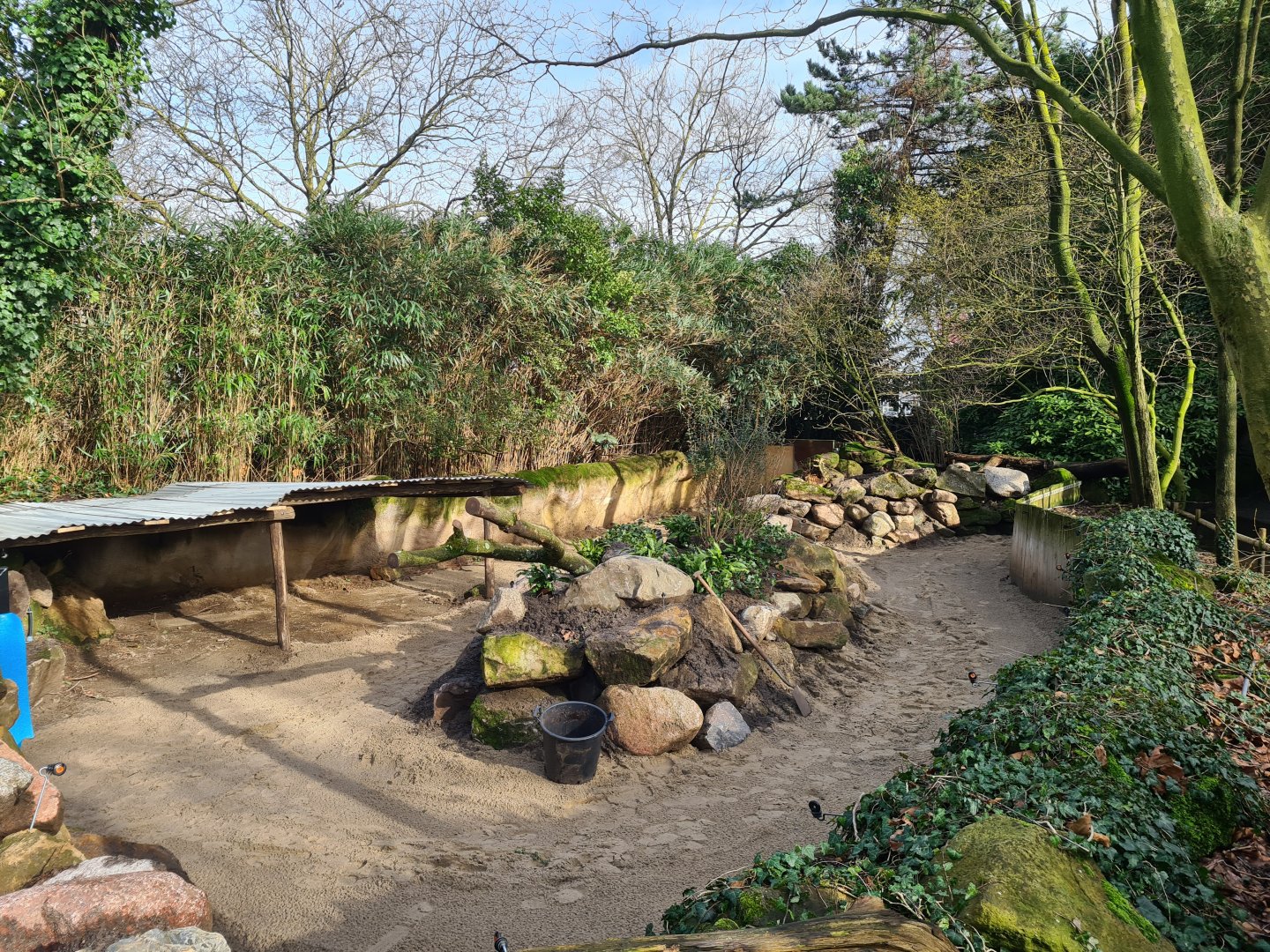 Asia - Malayan tapir outdoor enclosure