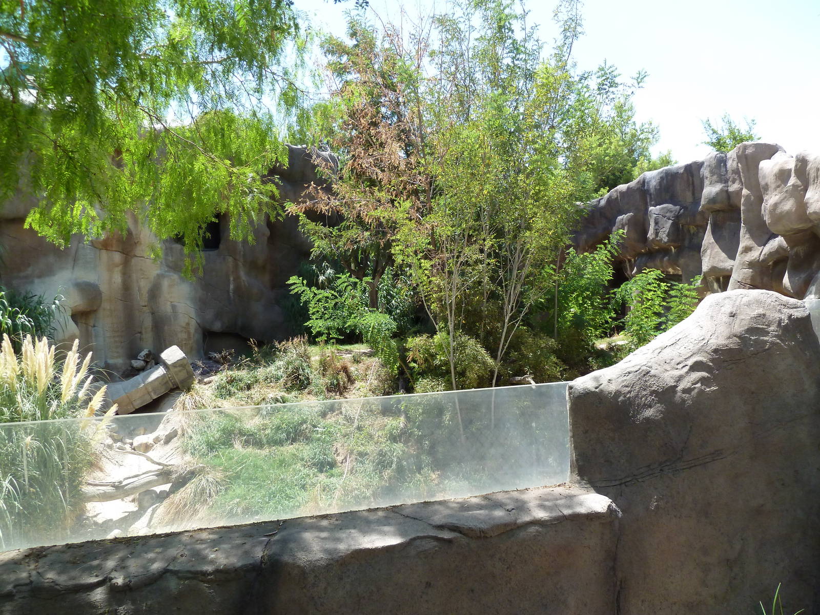 Asia - Malayan Tiger Exhibit
