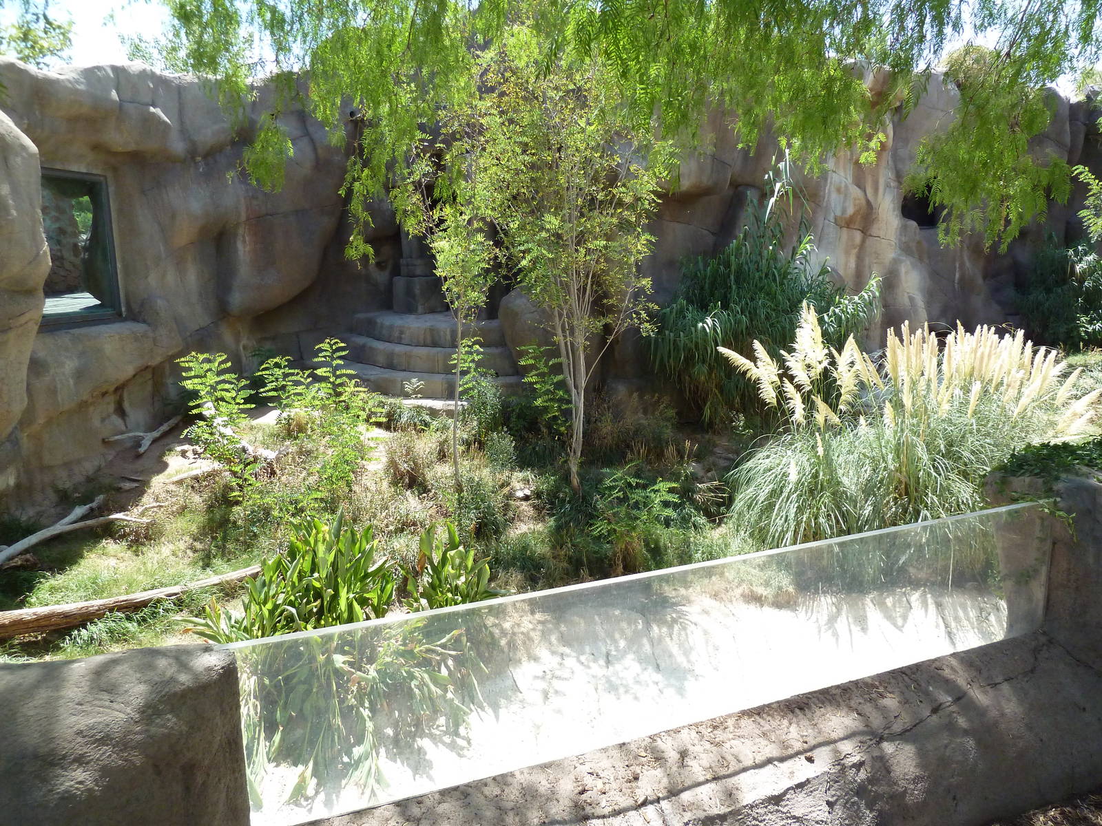 Asia - Malayan Tiger Exhibit