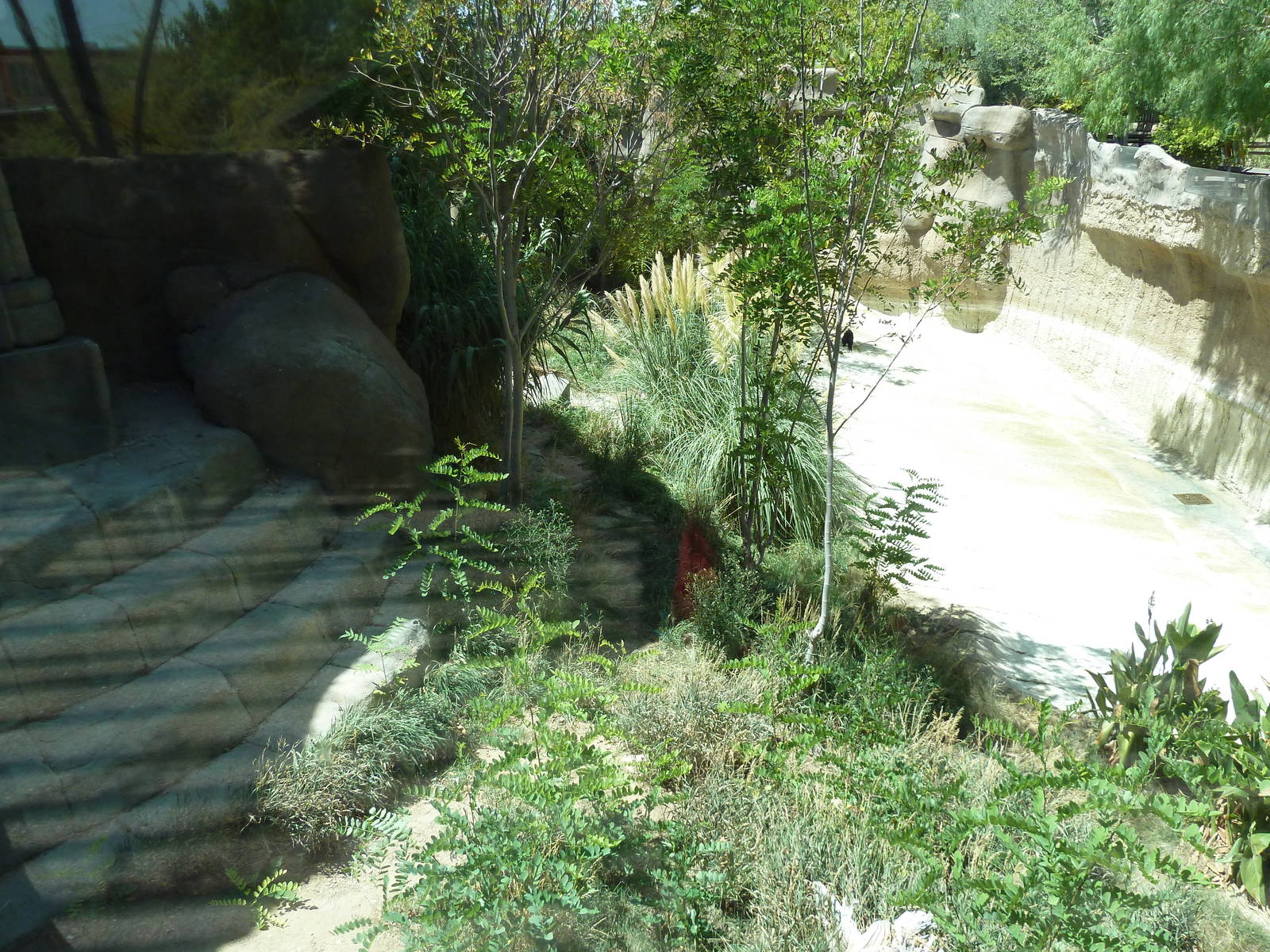 Asia - Malayan Tiger Exhibit