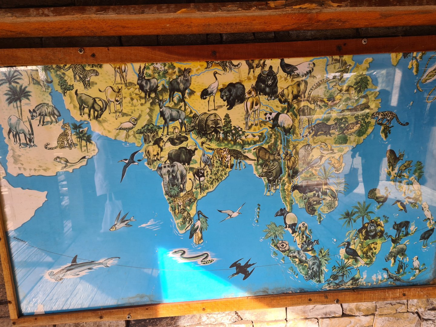 Asia - Map with South Asian animals