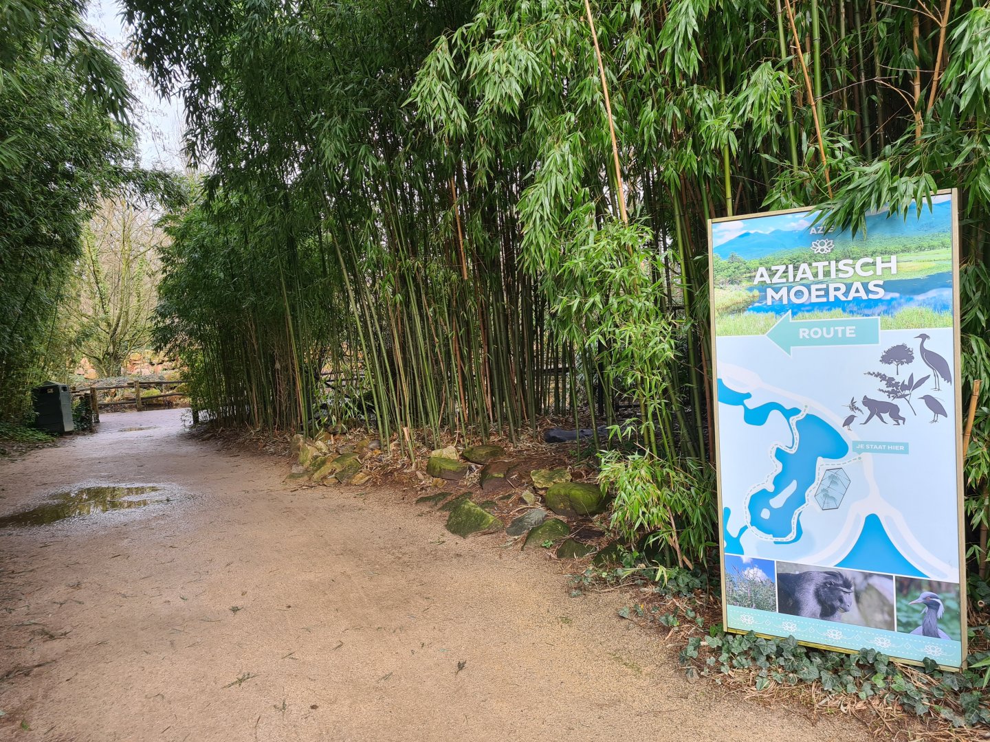 Asia - Minimap and Entrance to Asian swamp area