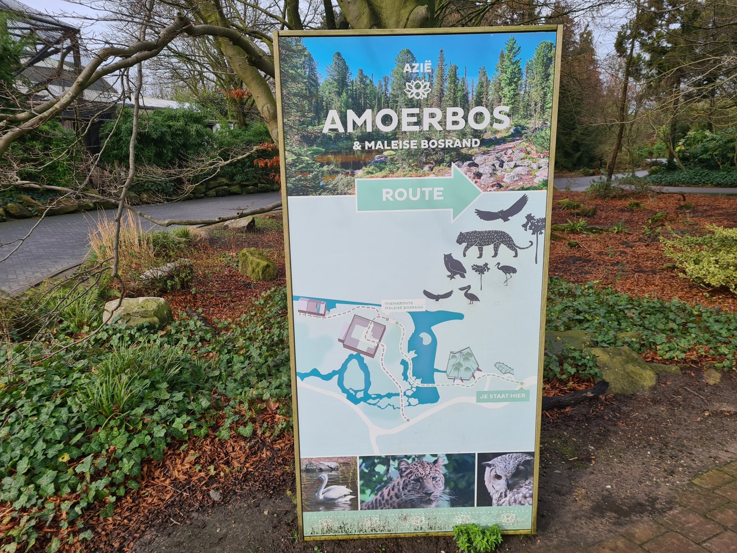 Asia - Minimap of Amur forest and Malay forest edge