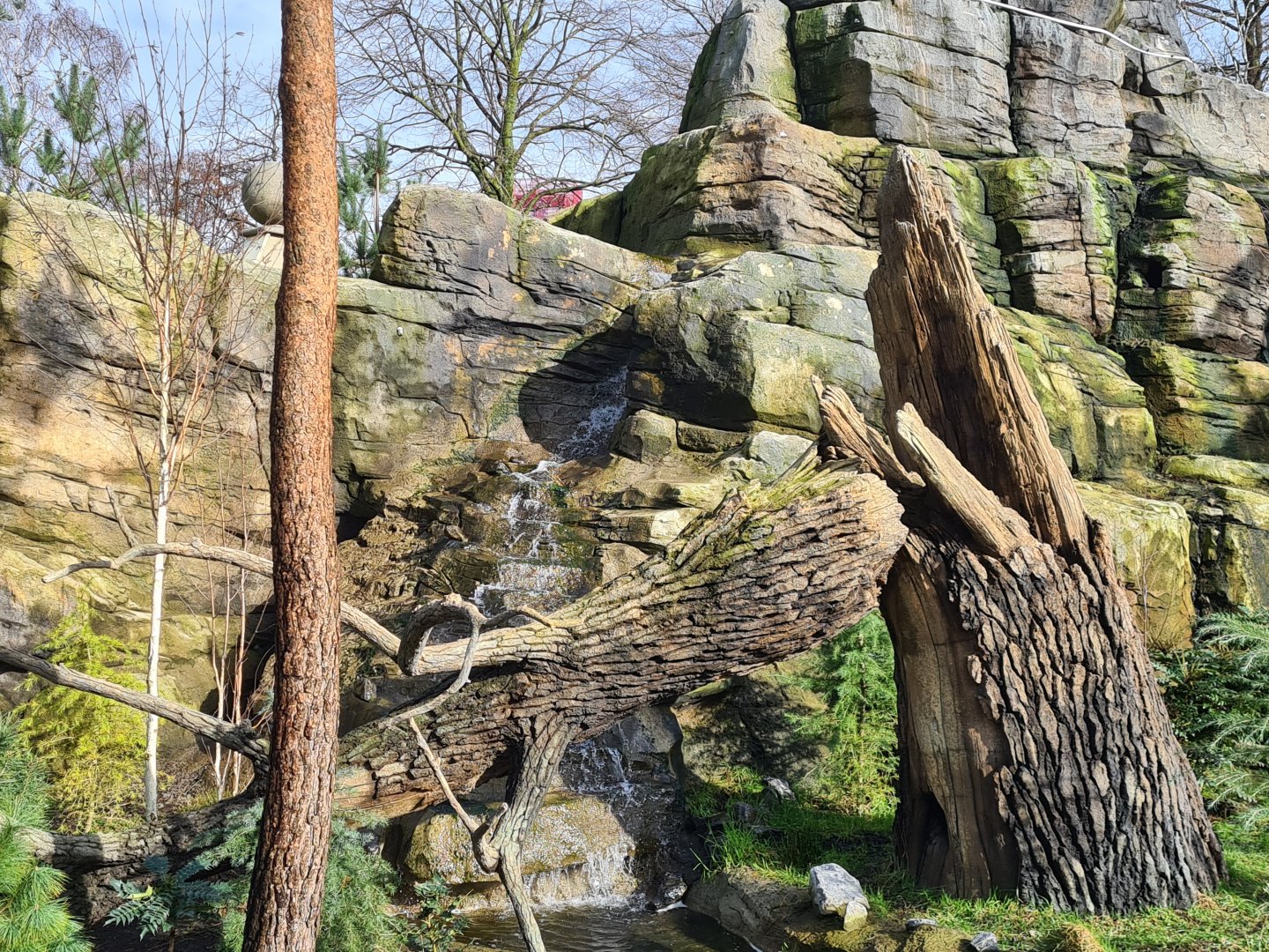 Asia - Mountain animal enclosure