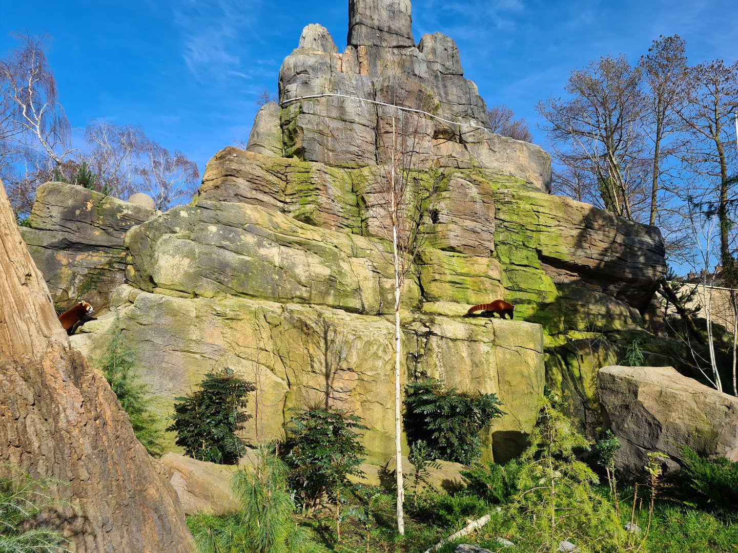 Asia - Mountain animal enclosure