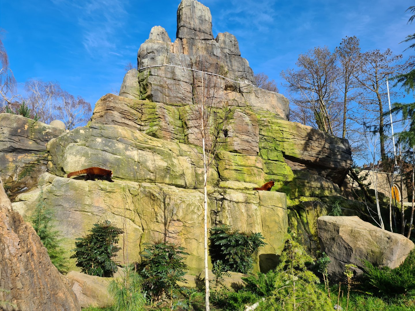 Asia - Mountain animal enclosure