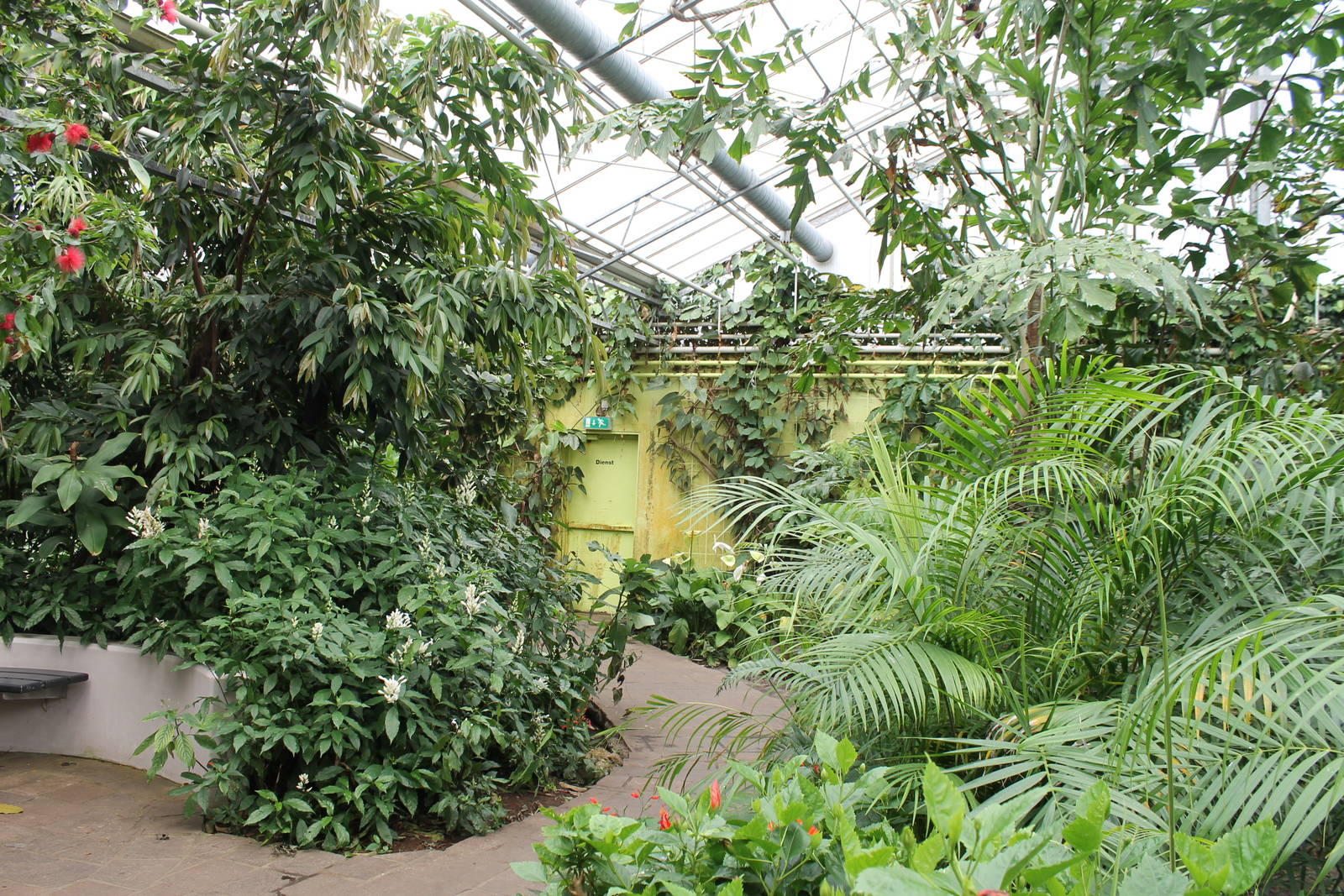 Asia - Oasia overview