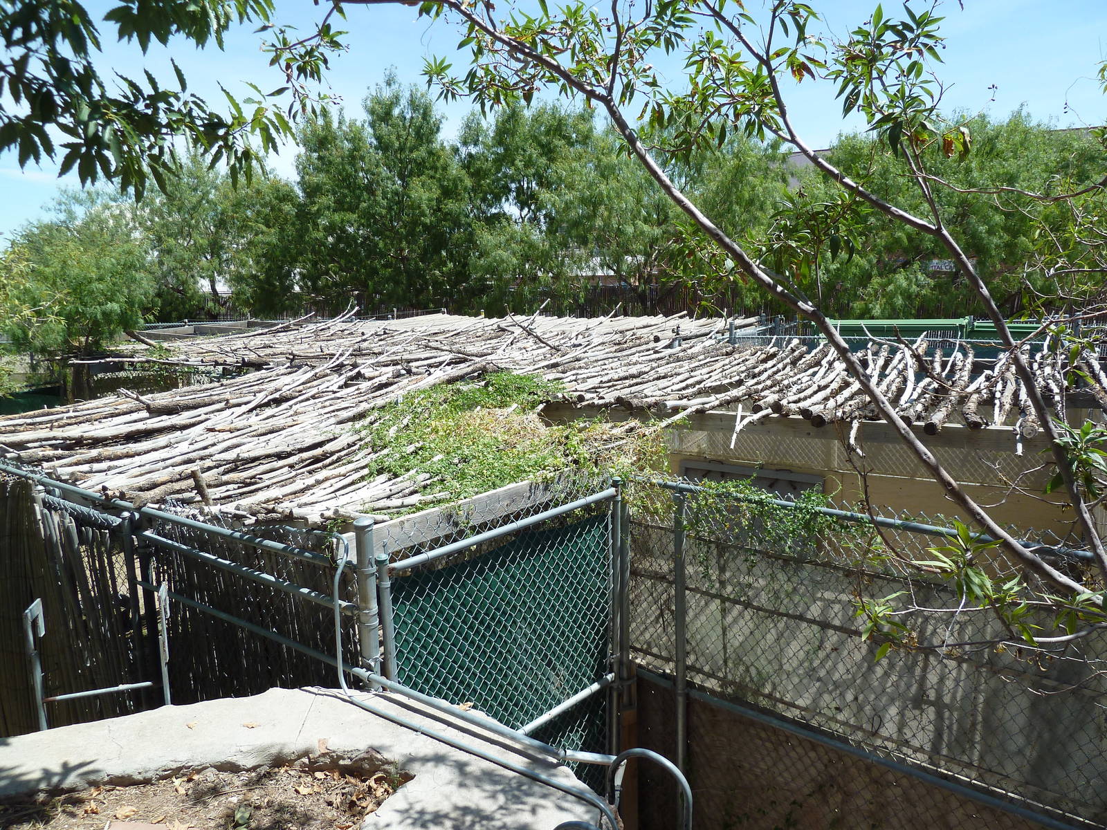 Asia - Off Exhibit Holding Yards