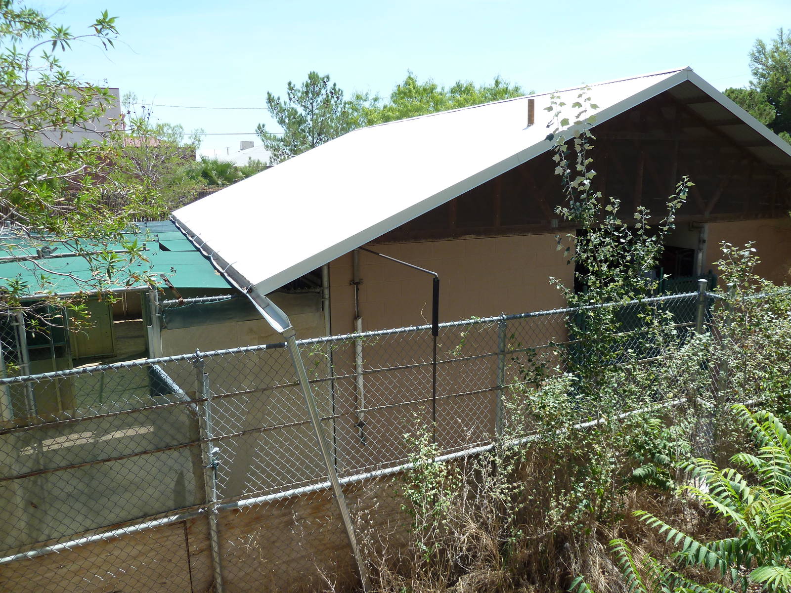 Asia - Off Exhibit Holding Yards