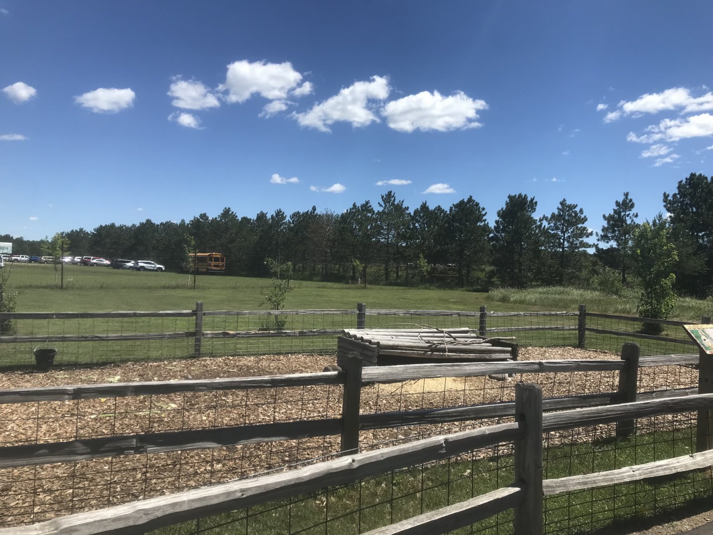 “Asia” - Patagonian Mara Exhibits
