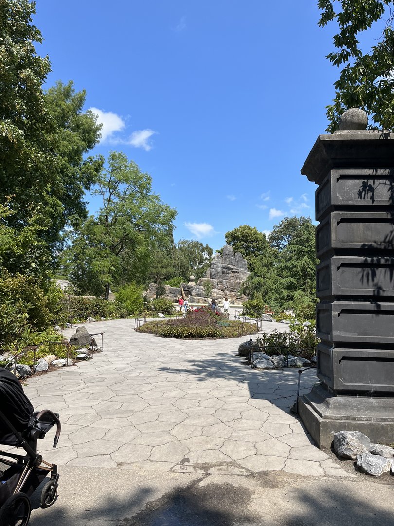Asia- Path up to red panda enclosure 13.7.23