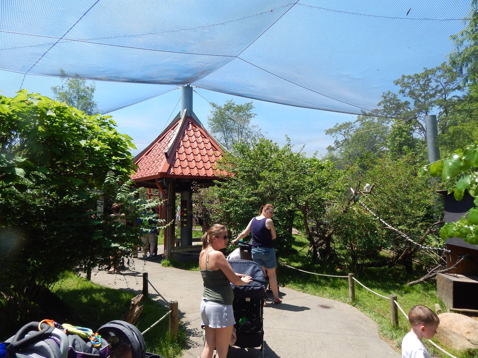 Asia Quest - Asian Aviary (9 Species)