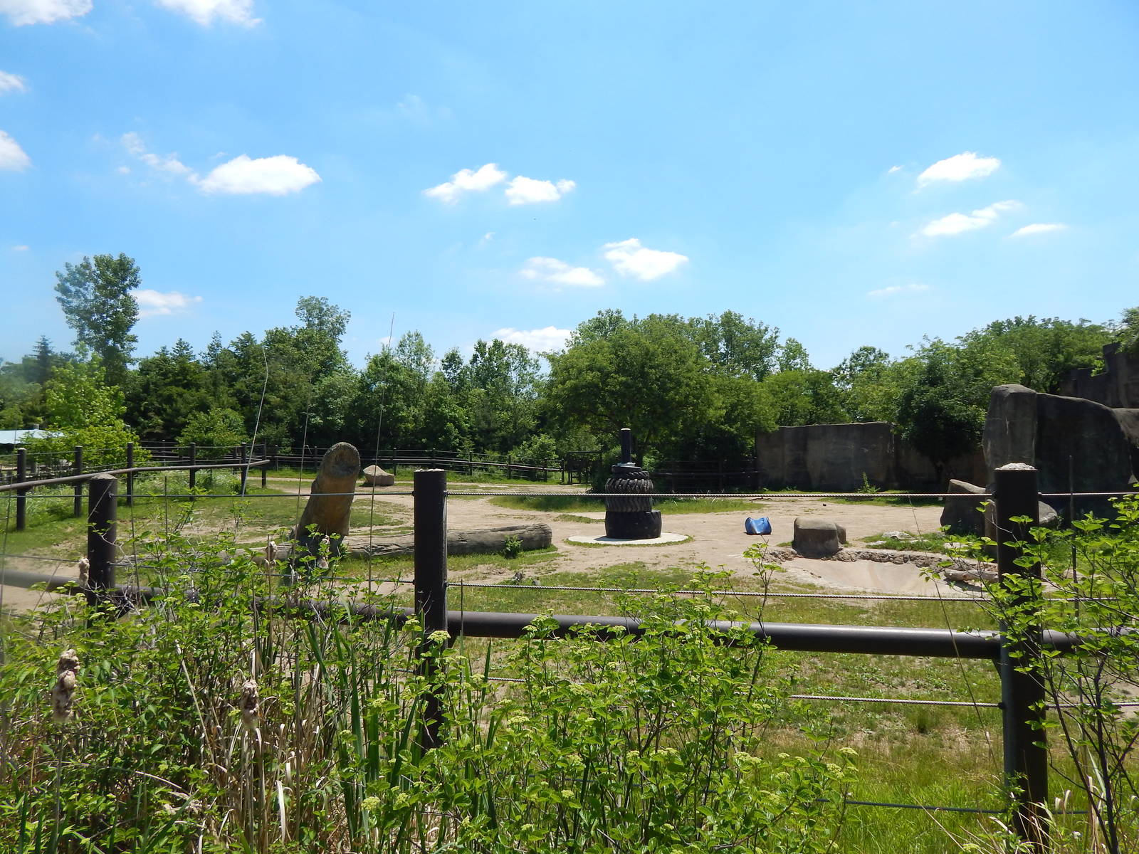 Asia Quest - Asian Elephant Exhibit