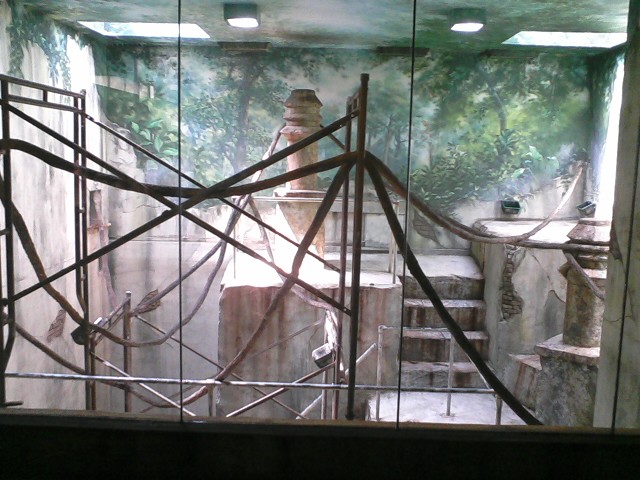 Asia Quest- First Indoor Silvery Langur exhibit