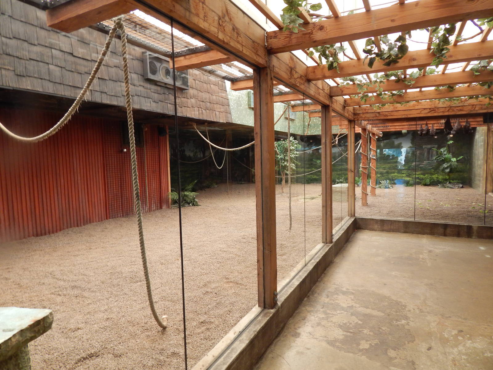 Asia Quest - Golden-mantled Flying + Large Flying Fox Exhibit