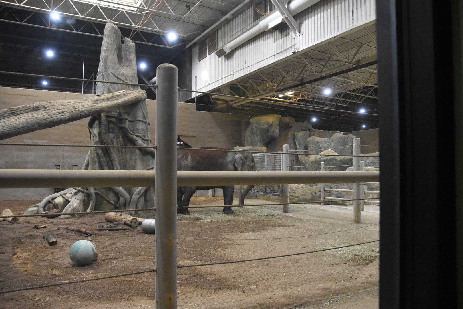 Asia Quest - Indoor Asian elephant building