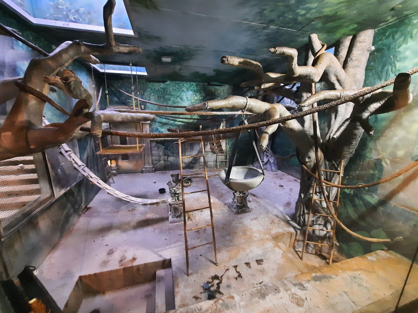 Asia Quest - Indoor Langur Exhibit