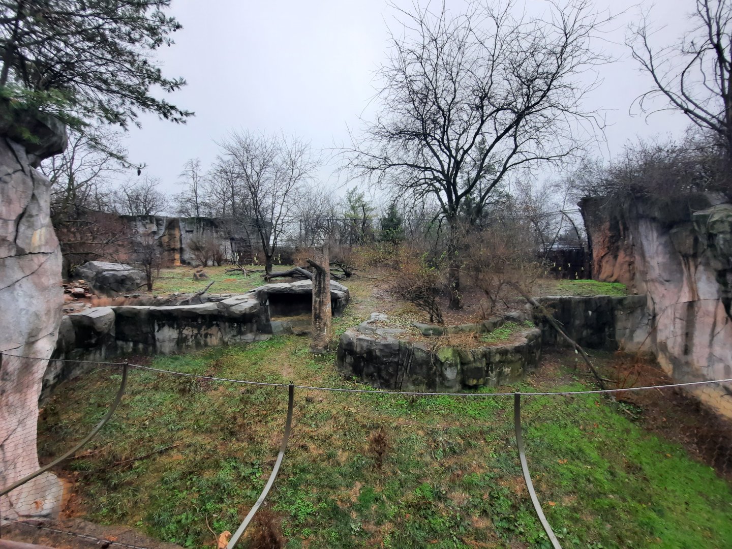 Asia Quest - Main Amur Tiger Exhibit