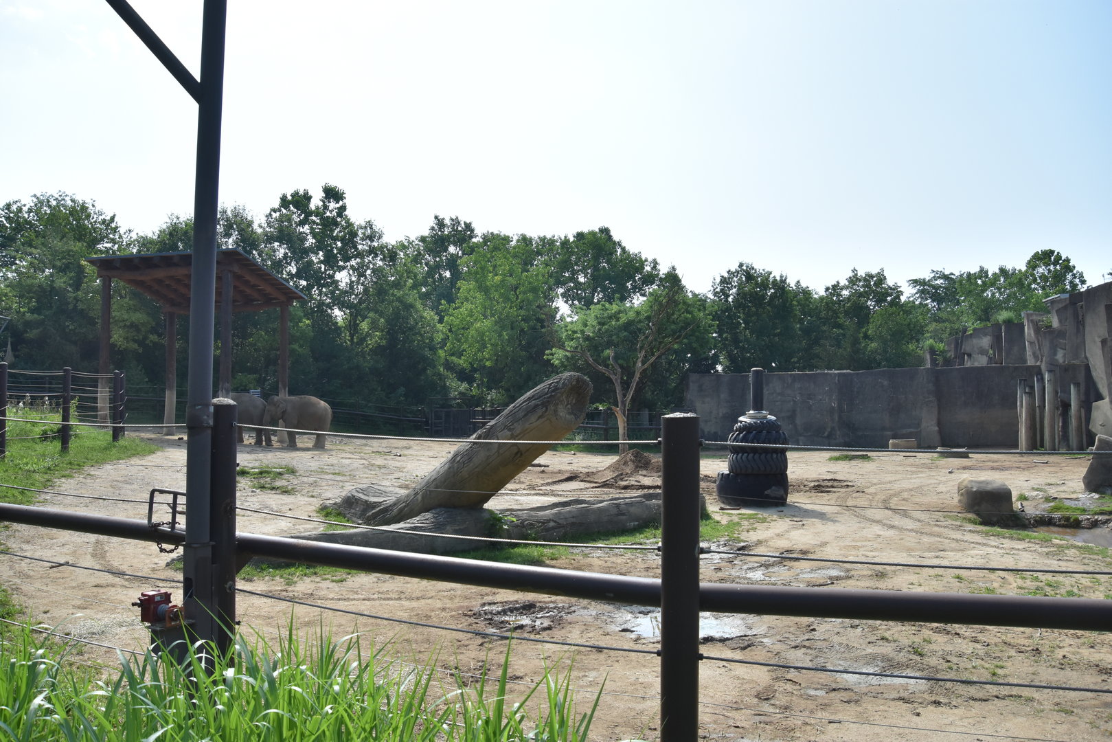 Asia Quest - Outdoor Asian elephant exhibit