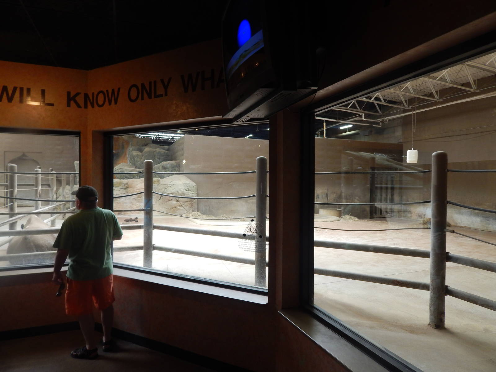 Asia Quest - Pachyderm Building - Black Rhinoceros Exhibit