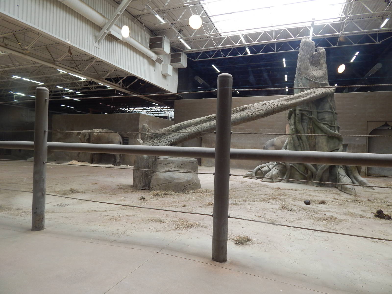 Asia Quest - Pachyderm Building - Elephant Indoor Exhibit