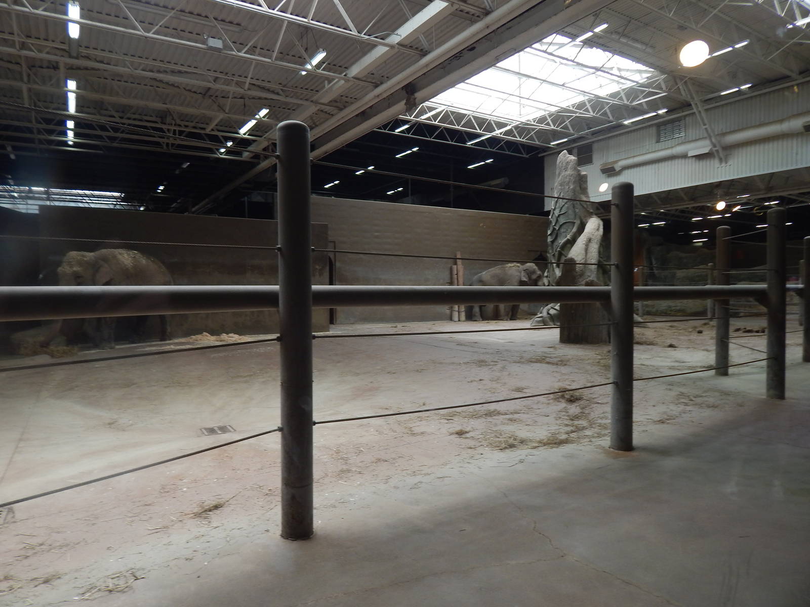 Asia Quest - Pachyderm Building - Elephant Indoor Exhibit