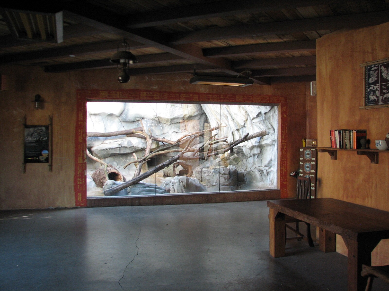 Asia Quest - Pallas Cat Exhibit