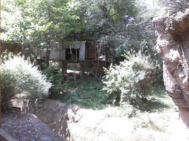 Asia Quest- Red Panda exhibit