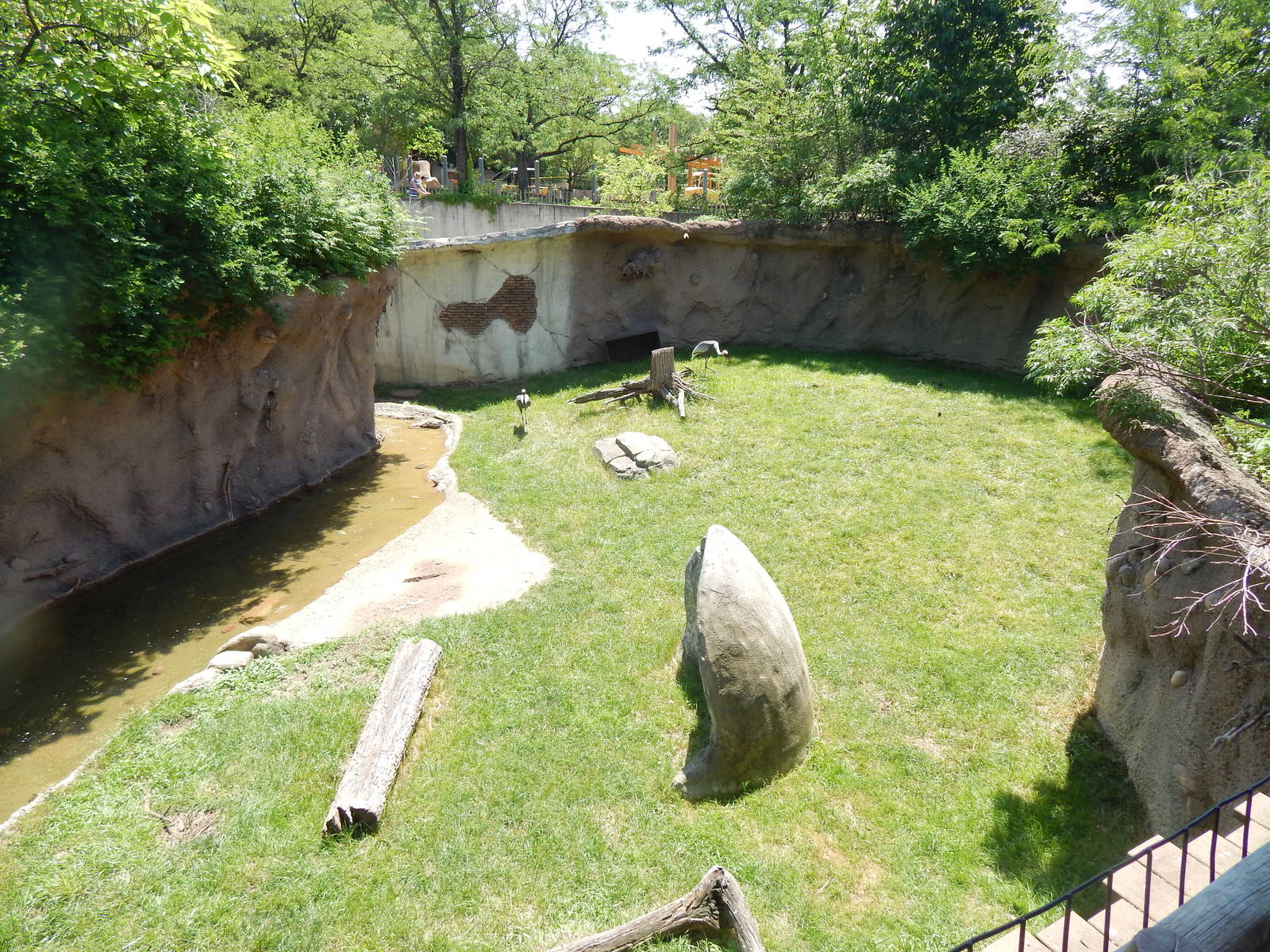 Asia Quest - Reeve's Muntjac + White-naped Crane Exhibit