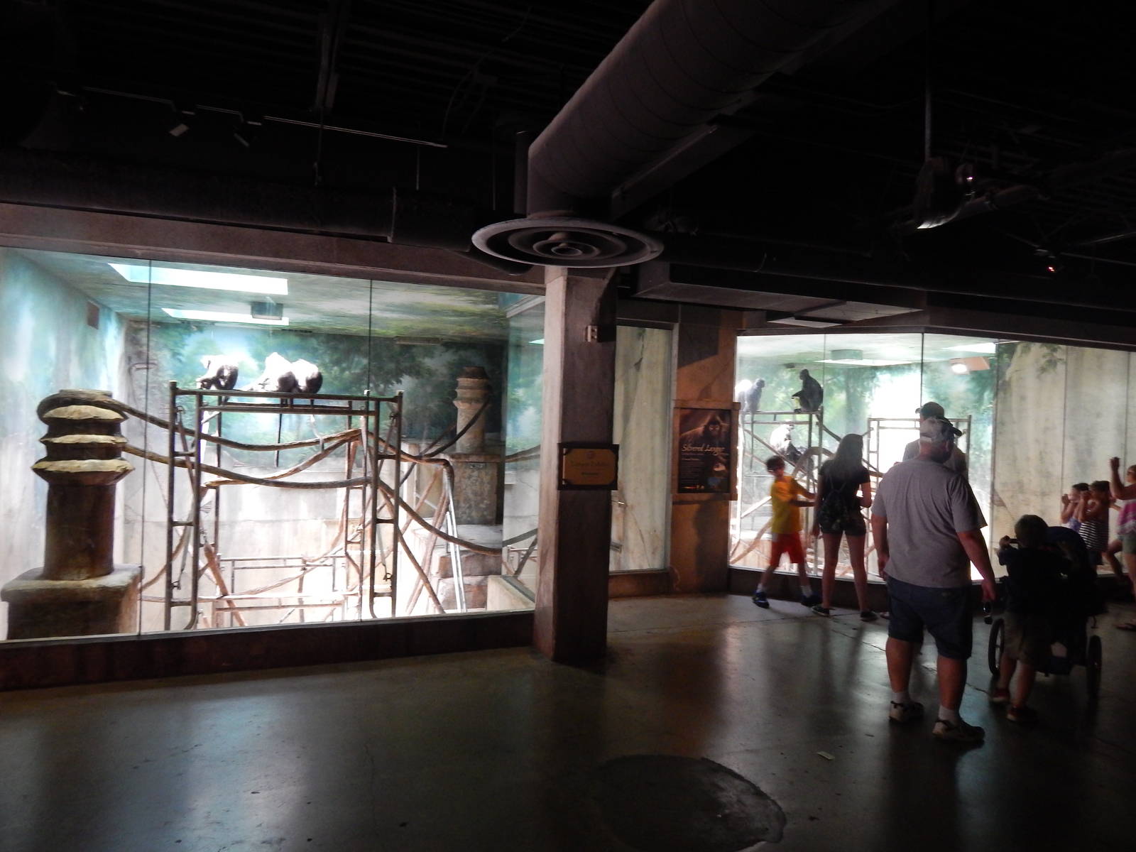 Asia Quest - Silvered Langur Indoor Exhibits