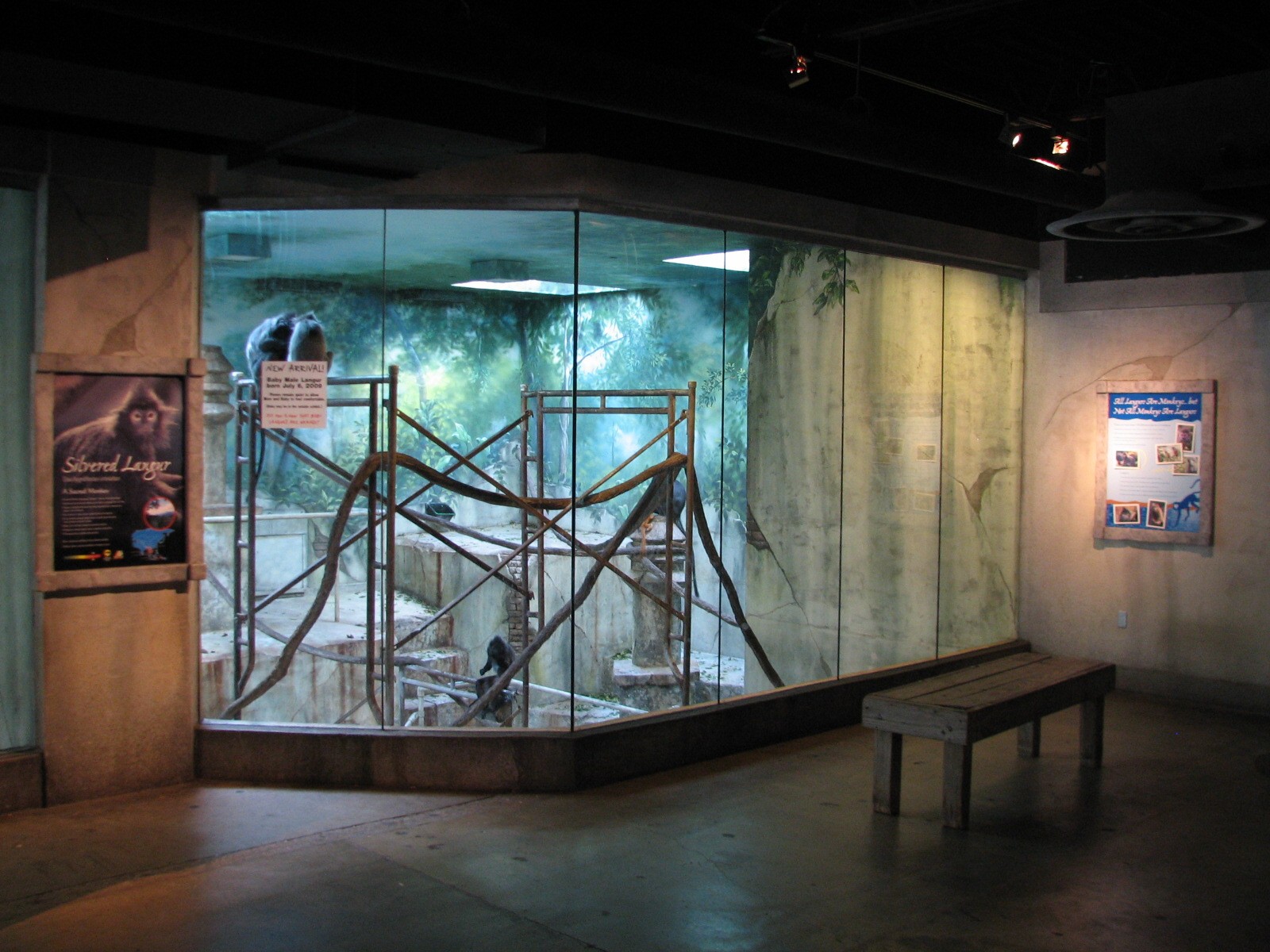 Asia Quest - Silvered Leaf Langur Bedroom