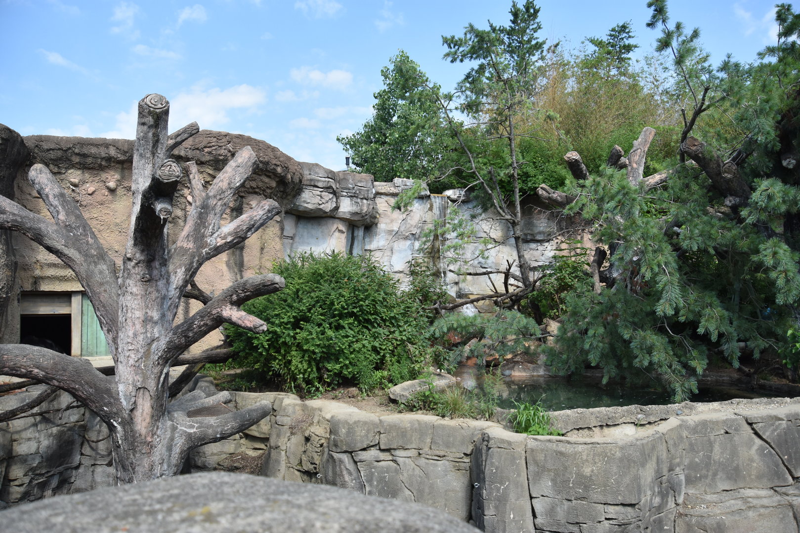 Asia Quest - Sloth bear exhibit