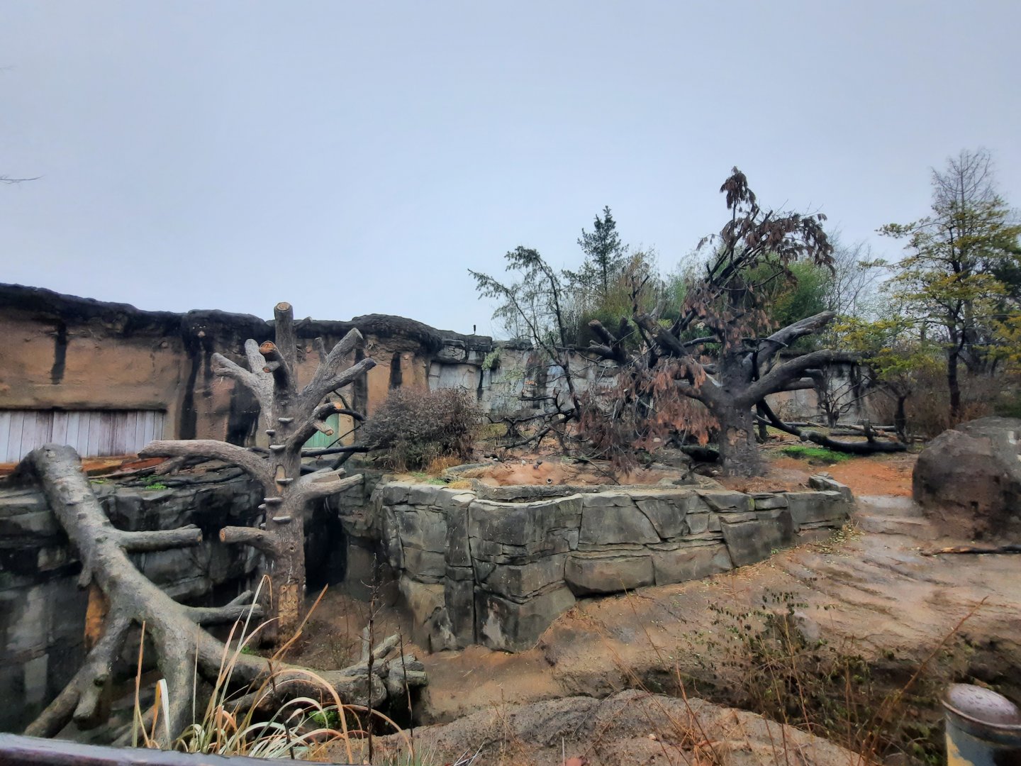 Asia Quest - Sloth Bear Exhibit