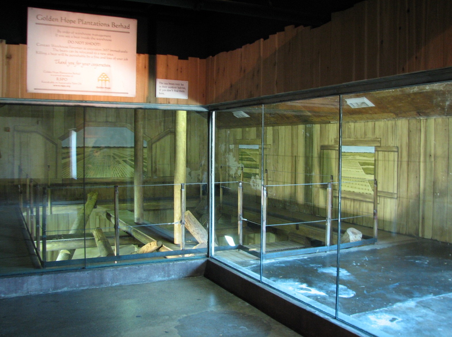 Asia Quest - Sun Bear Bedroom