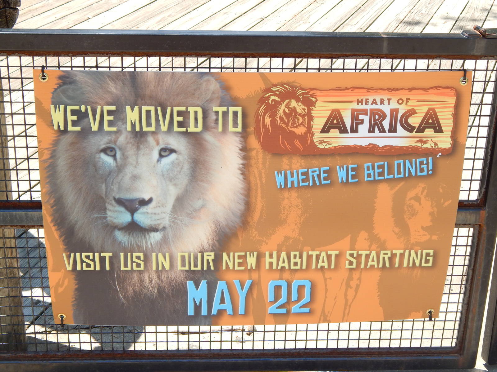 Asia Quest - The Zoo Laughing at Their Own Flaw