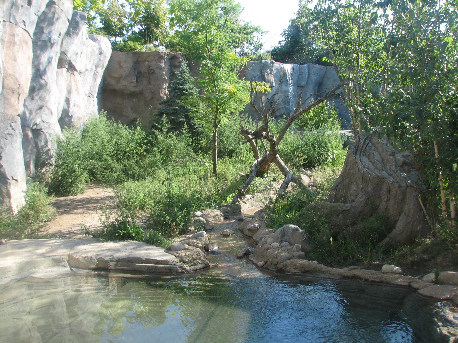 Asia Quest - Tiger Exhibit