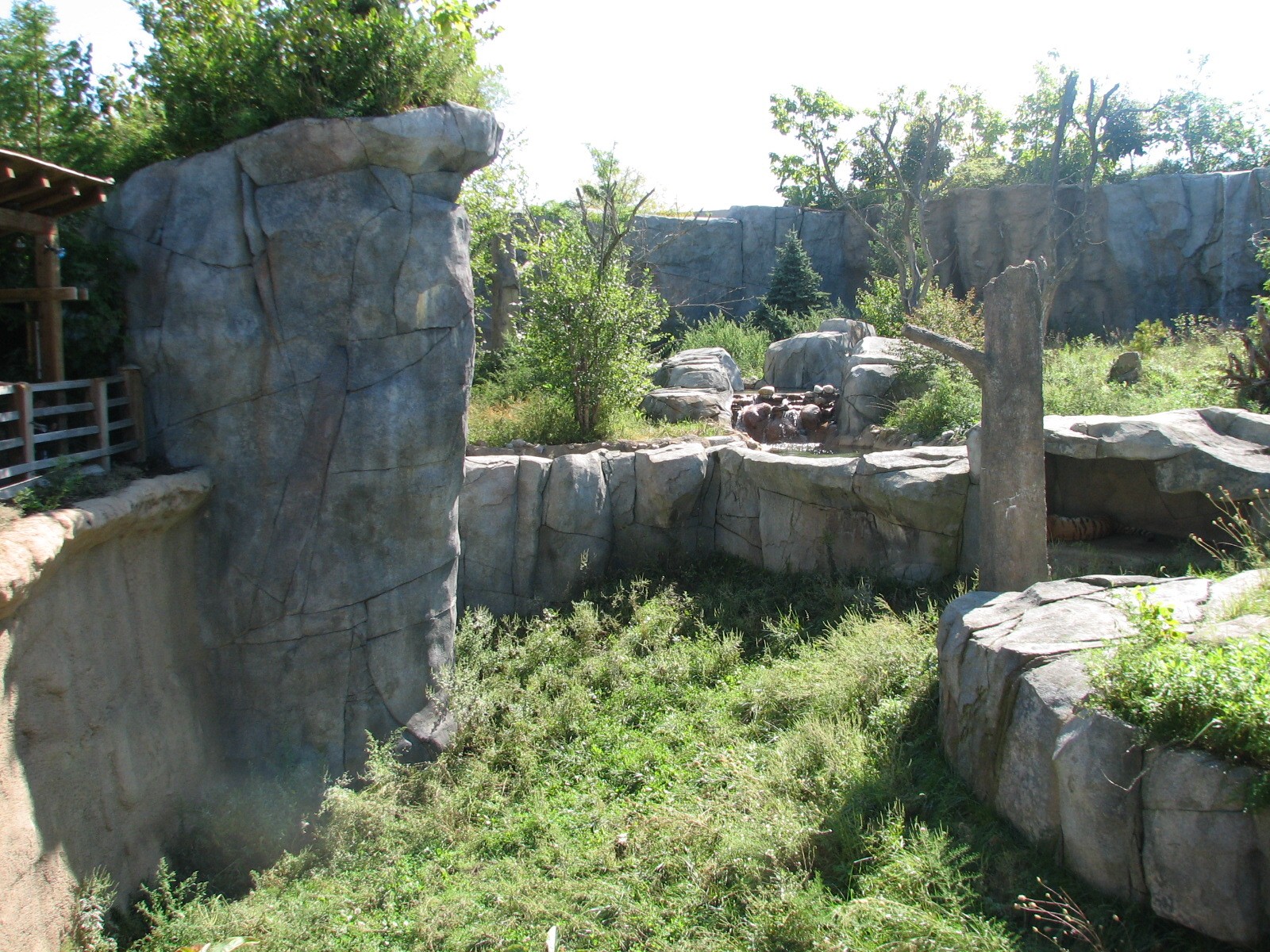 Asia Quest - Tiger Exhibit