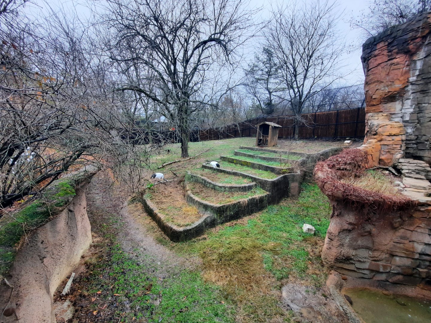 Asia Quest - Tufted Deer and Cranes