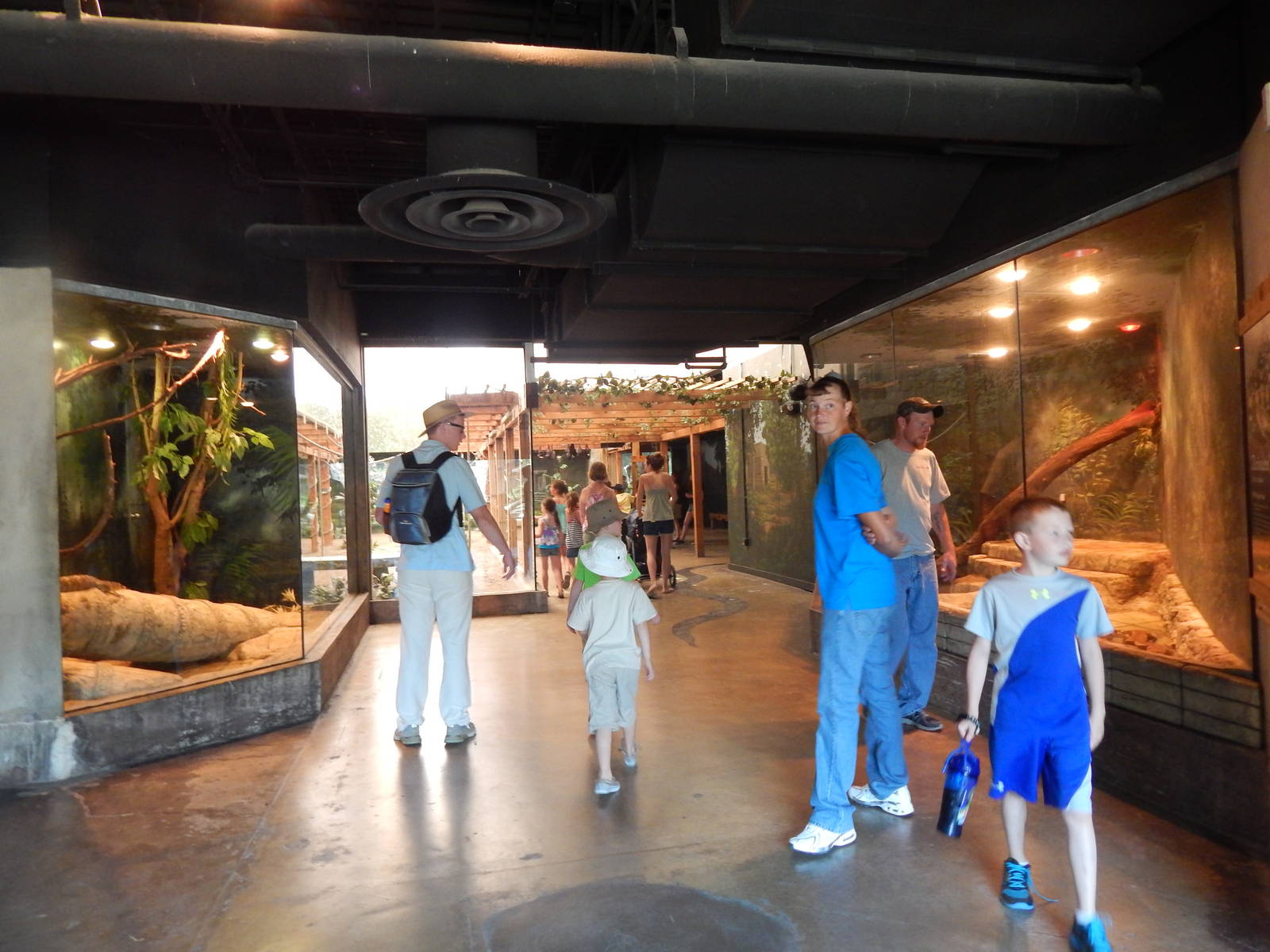 Asia Quest - Water Monitor + Reticulated Python Exhibits